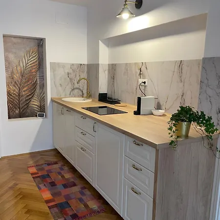 Cozy Lägenhet Braşov