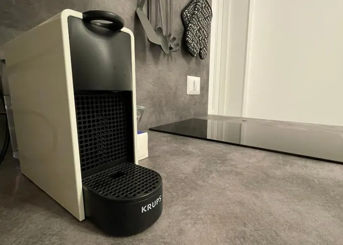 Apartment Cozy Brasov