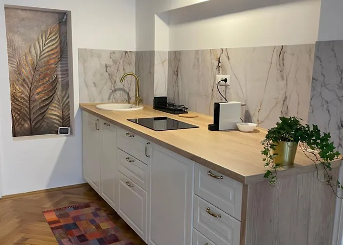 Cozy Apartment Brasov